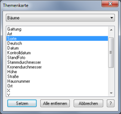 Modul_Thema_Baum1