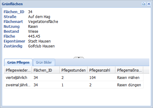 InternetCity_Karteikarte_Tabelle_1a