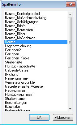 Maske_Spalteninfo_auswaehlen