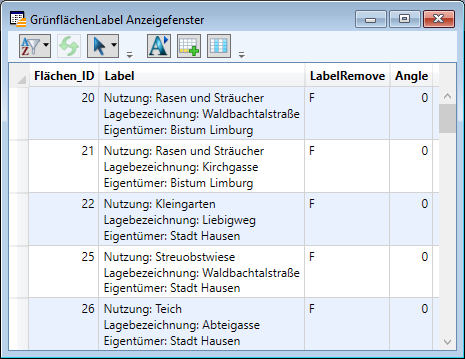 Manager_Textlabel_Anzeigefenster_1