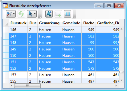 Anzeigefenster_Einzelauswahl