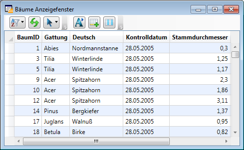 Anzeigefenster_Textformat_A