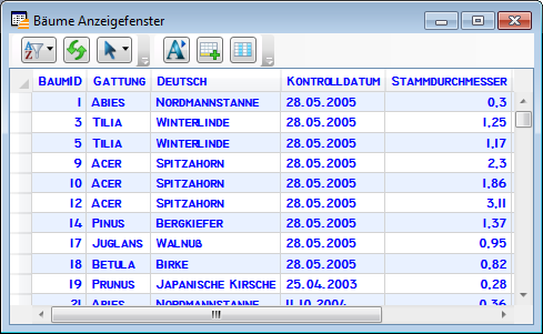 Anzeigefenster_Textformat_B