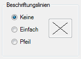 Beschriftungseinstellungen_Beschriftungslinien