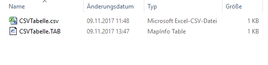 Formate_Import_Datei_öffnen_ASCIIl_Explorer_csv_2