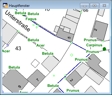 Kartenfenster_Beschriftungen_einfach