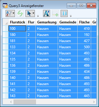 Maske_Abfragen_Auswahl_Anzeigefenster_1