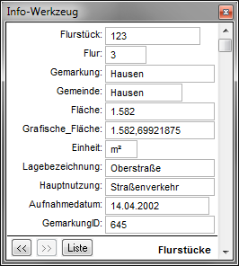 Maske_Infotool_2