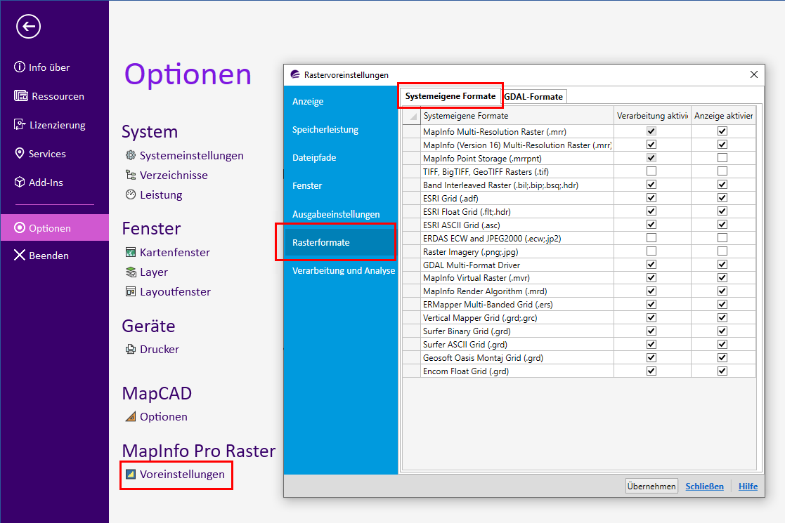 Einstellungen_Raster_systemeigeneFormate_64Bit